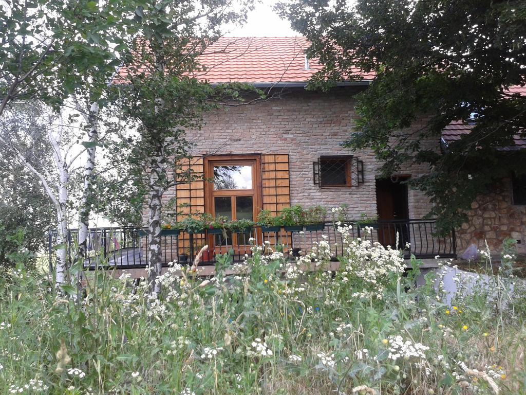 Lodging Vidmar Сремски-Карловци Экстерьер фото